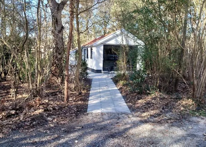 Relaxed Luxe Boszichthuisje Met Jacuzzi Bospark Ijsselheide Vakantiehuis Hattemerbroek