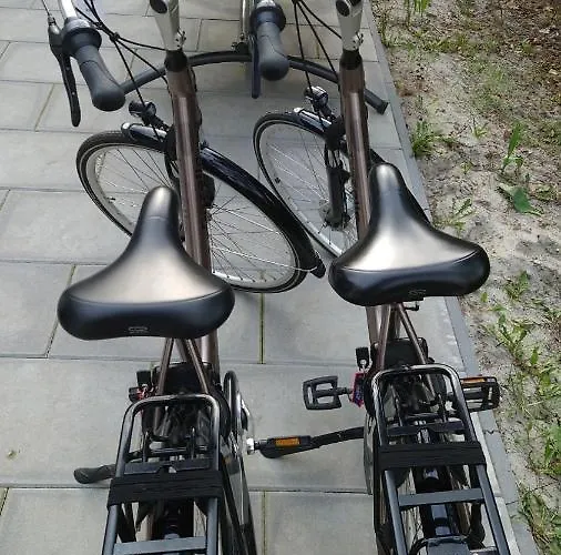 Relaxed Luxe Boszichthuisje Met Jacuzzi Bospark Ijsselheide Vakantiehuis *