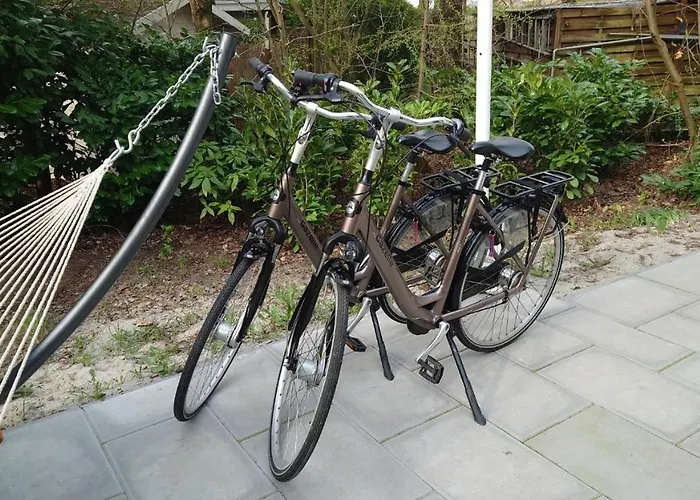 Vakantiehuis Relaxed Luxe Boszichthuisje Met Jacuzzi Bospark Ijsselheide Hattemerbroek