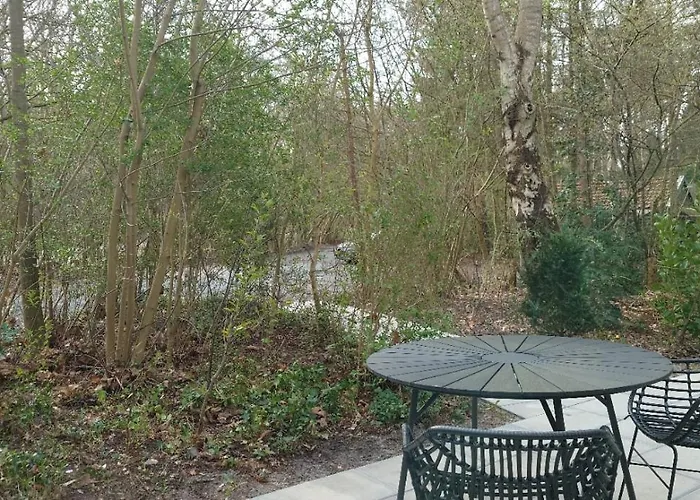 Vakantiehuis Relaxed Luxe Boszichthuisje Met Jacuzzi Bospark Ijsselheide *