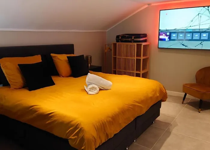 Relaxed Luxe Boszichthuisje Met Jacuzzi Bospark Ijsselheide Vakantiehuis