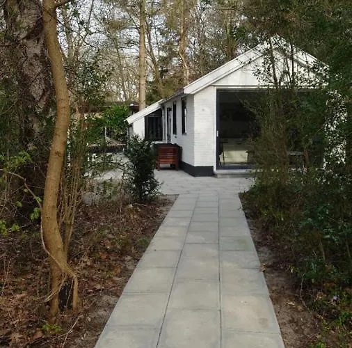 Vakantiehuis Relaxed Luxe Boszichthuisje Met Jacuzzi Bospark Ijsselheide *