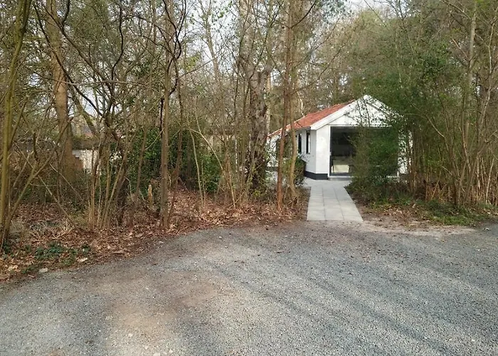 Relaxed Luxe Boszichthuisje Met Jacuzzi Bospark Ijsselheide * Hattemerbroek