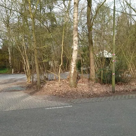 Relaxed Luxe Boszichthuisje Met Jacuzzi Bospark Ijsselheide Vakantiehuis *