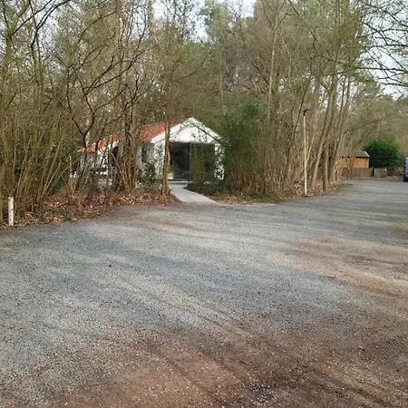 Vakantiehuis Relaxed Luxe Boszichthuisje Met Jacuzzi Bospark Ijsselheide