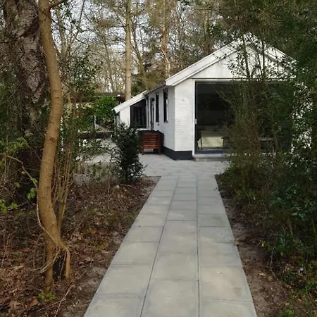 Vakantiehuis Relaxed Luxe Boszichthuisje Met Jacuzzi Bospark Ijsselheide *